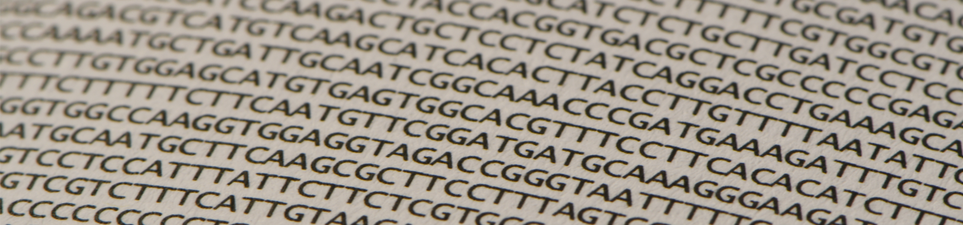 DNA sequence